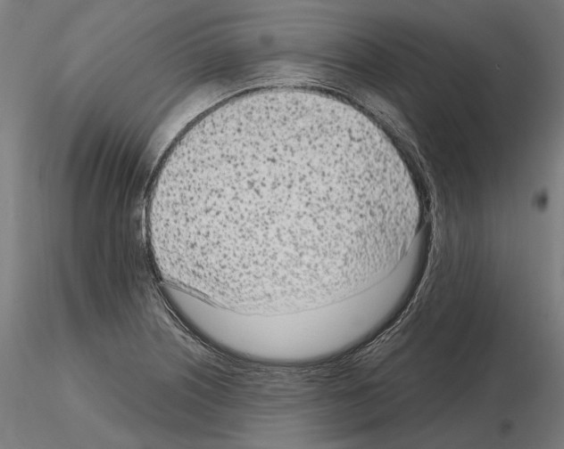 X0000115081226200912081204