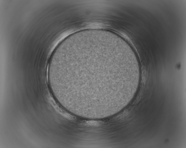 X0000115081227200912081204