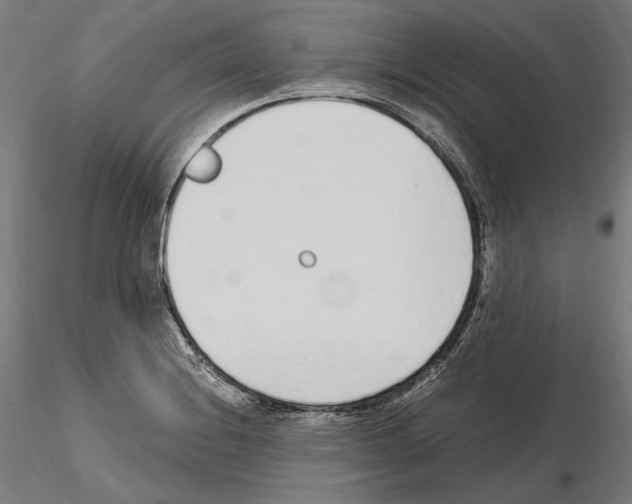 X0000115081228200912081204