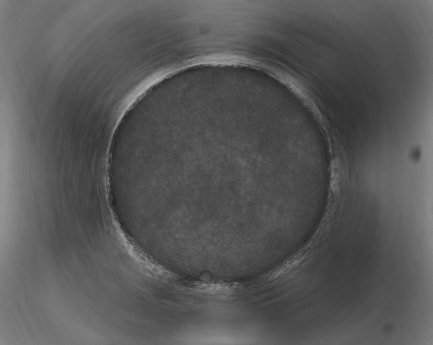 X0000115081229200912081204