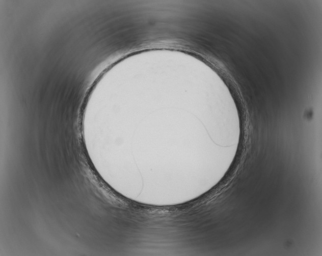 X0000115081230200912081204