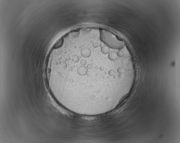 X0000115081231200912081204