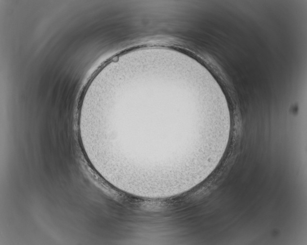 X0000115081232200912081204