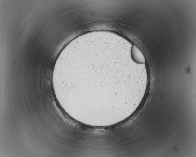 X0000115081233200912081204