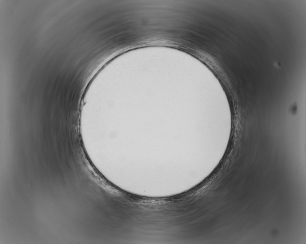 X0000115081236200912081204