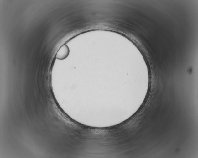 X0000115081238200912081204