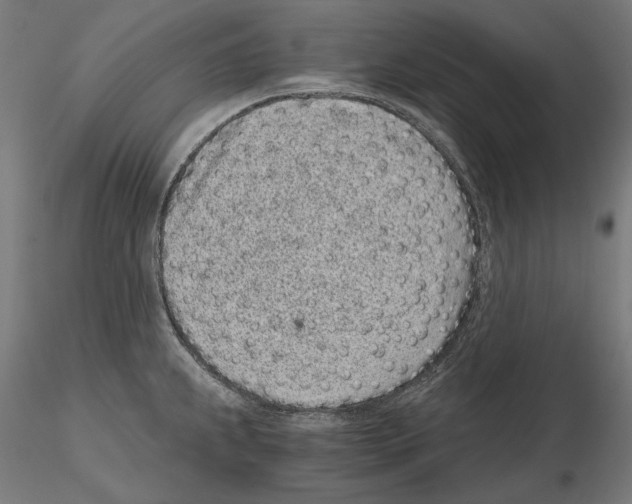 X0000115081239200912081204