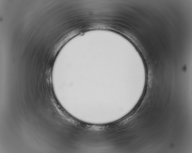 X0000115081241200912081204