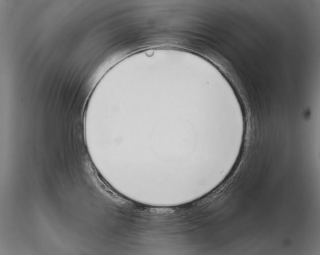 X0000115081242200912081204