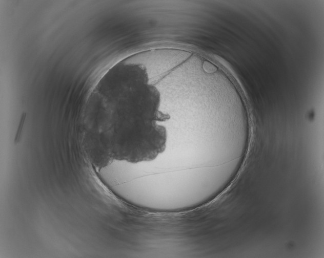 X0000115081244200912081204