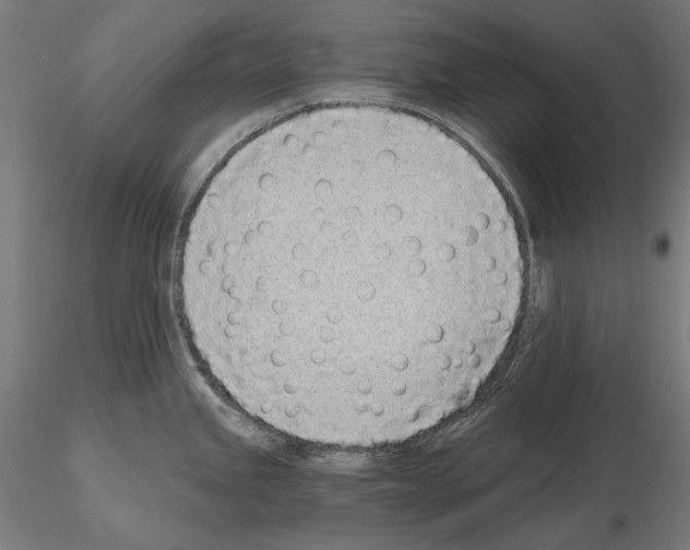 X0000115081245200912081204