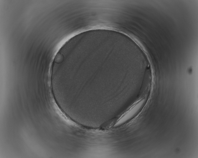 X0000115081246200912081204