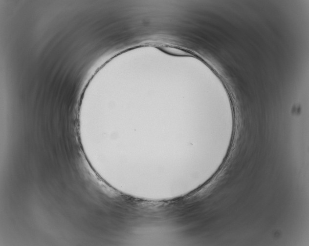 X0000115081248200912081204