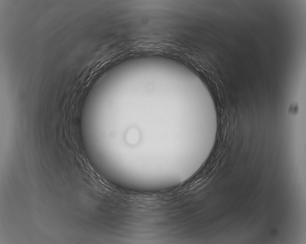 X0000115081249200912081203