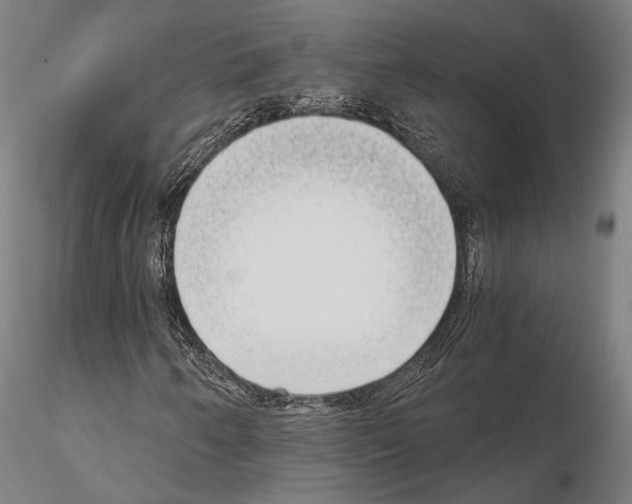 X0000115081250200912081203