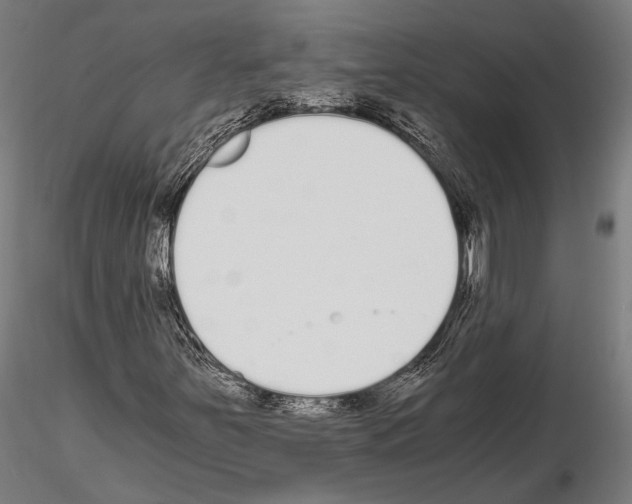 X0000115081251200912081203