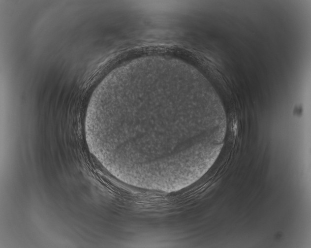 X0000115081252200912081203