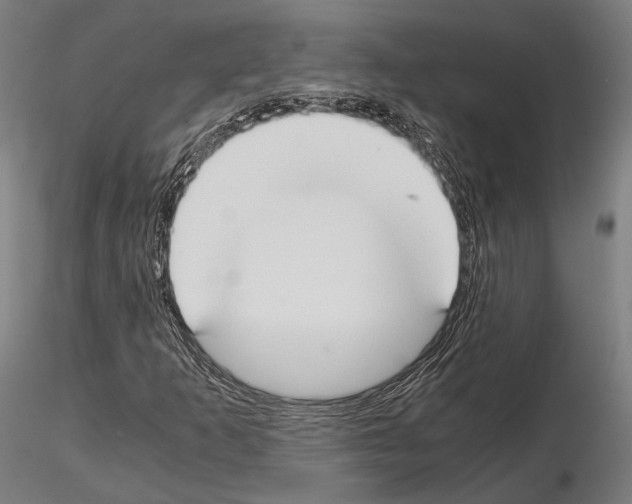 X0000115081253200912081203