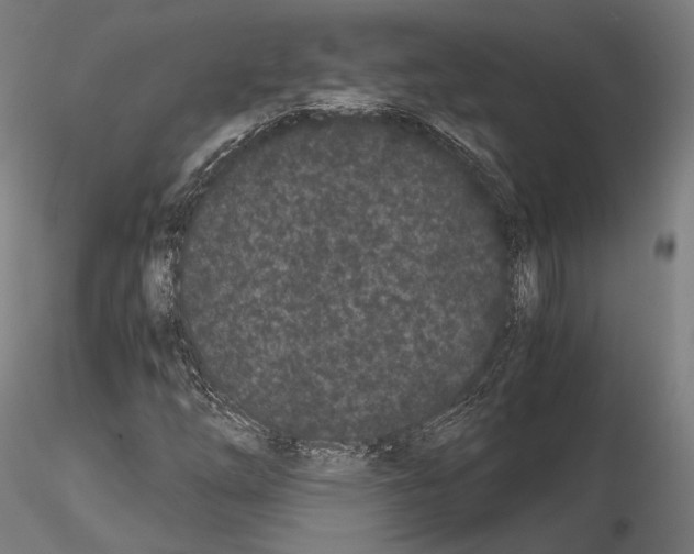 X0000115081254200912081203