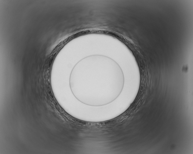 X0000115081255200912081203