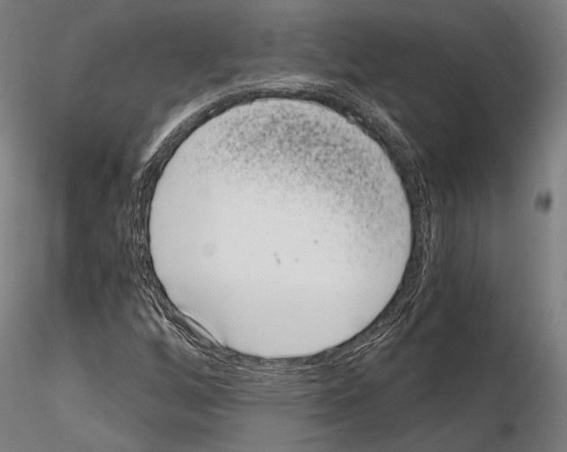 X0000115081256200912081203