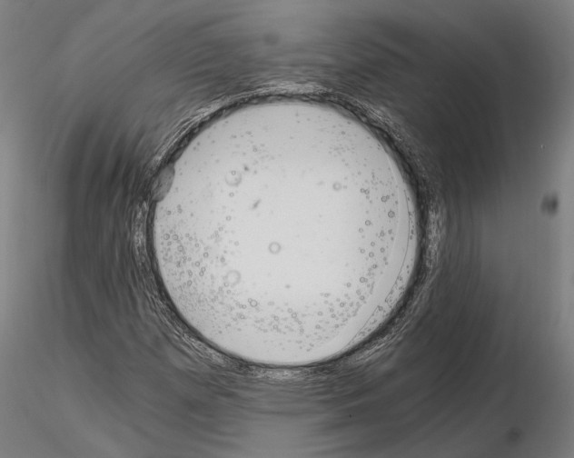 X0000115081257200912081203