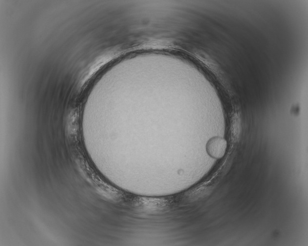 X0000115081258200912081203