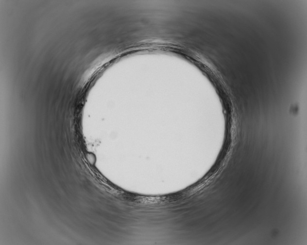 X0000115081259200912081203