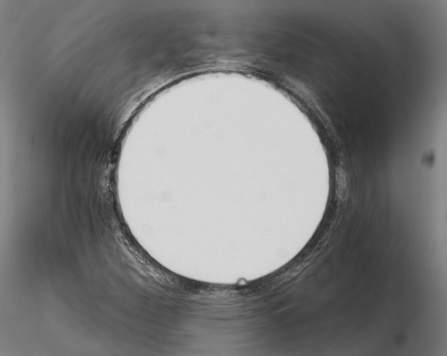 X0000115081260200912081203