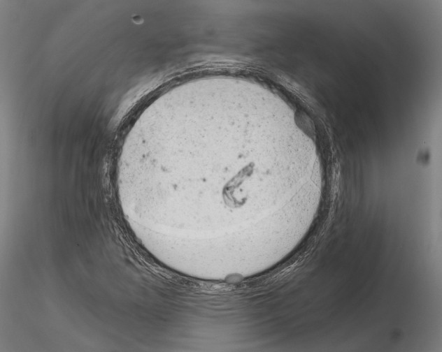 X0000115081261200912081203