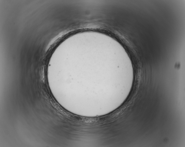 X0000115081262200912081203