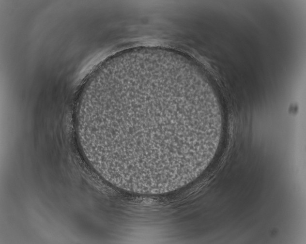 X0000115081263200912081203