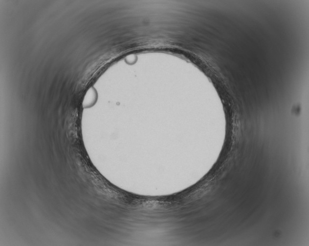 X0000115081265200912081203