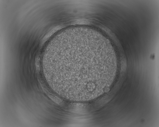 X0000115081266200912081203