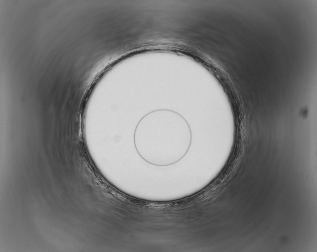 X0000115081267200912081203