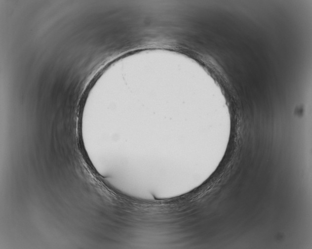 X0000115081268200912081203