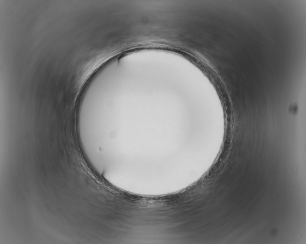 X0000115081269200912081203