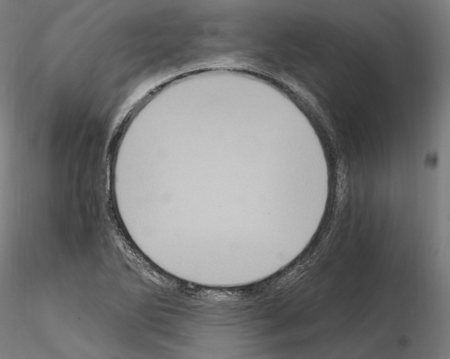 X0000115081270200912081203