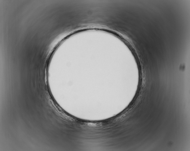 X0000115081271200912081203