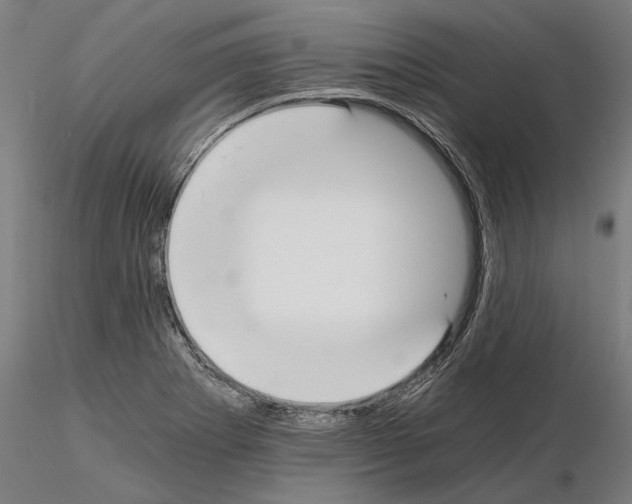 X0000115081273200912081203