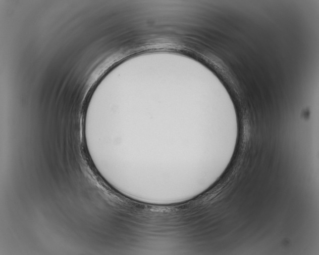 X0000115081274200912081203