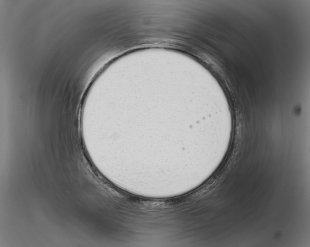 X0000115081275200912081203