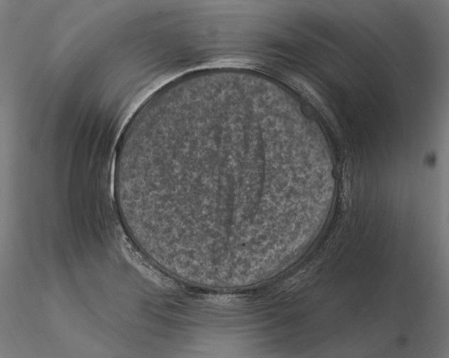 X0000115081276200912081203