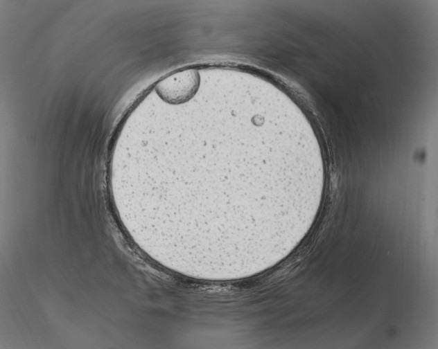 X0000115081279200912081203