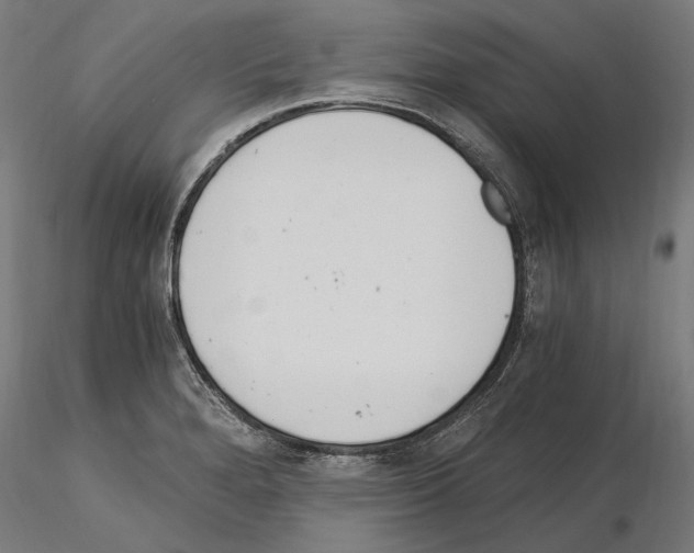 X0000115081280200912081203