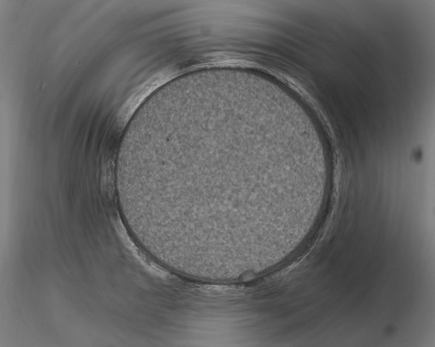 X0000115081281200912081203