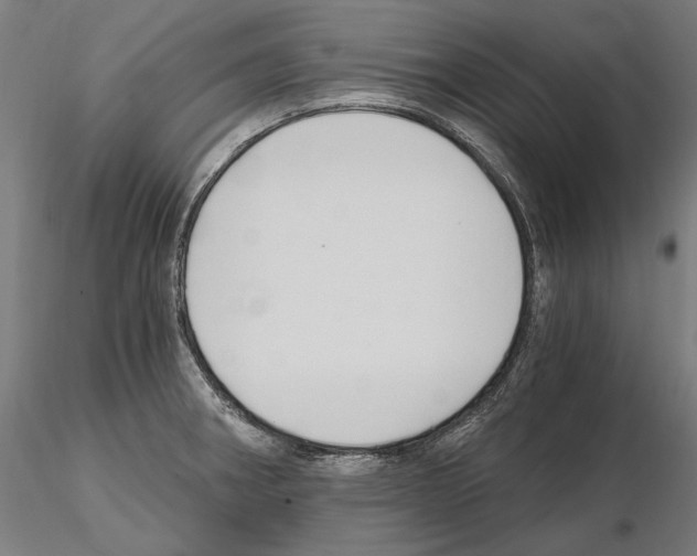 X0000115081282200912081203