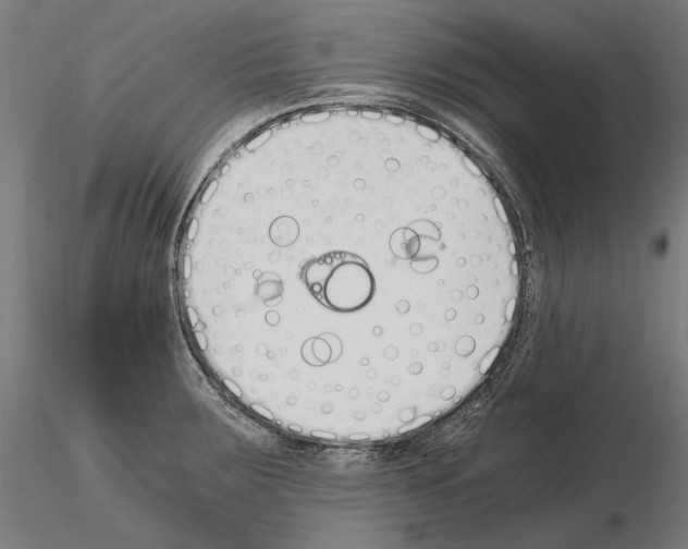 X0000115081283200912081203