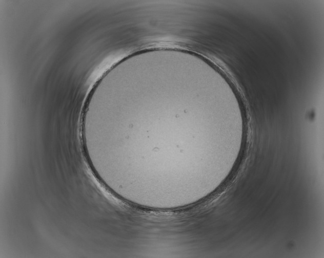 X0000115081285200912081203