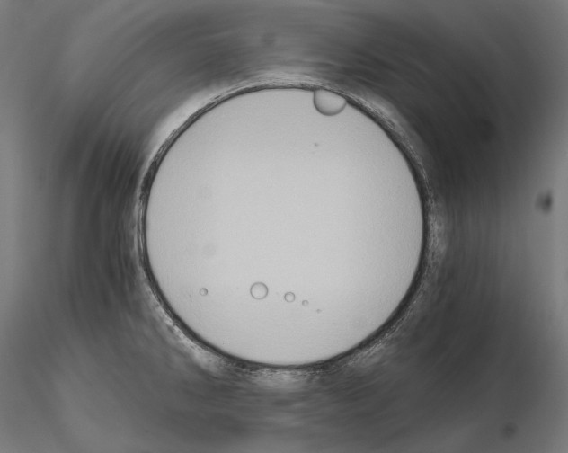 X0000115081286200912081203